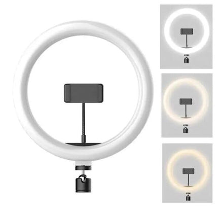 LED Ring Light, 10 Inch, White, Dimmable, 3 Level Brightness, for Vlogging
